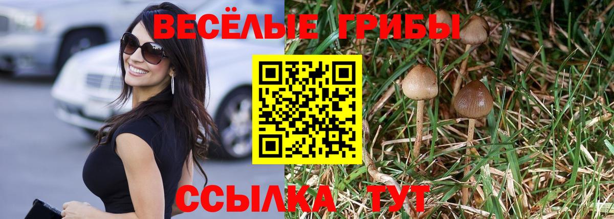 Галлюциногенные грибы Cubensis Вышний Волочёк
