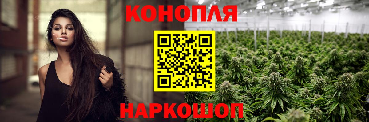 Бошки марихуана конопля Вышний Волочёк